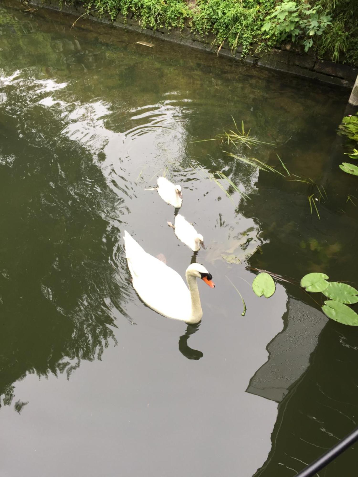 Apartament Loft Sur L'Eau Avec Parking Paryż Zewnętrze zdjęcie